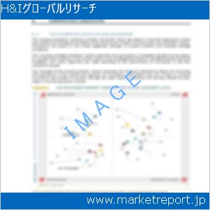 市場と産業調査レポートのイメージ